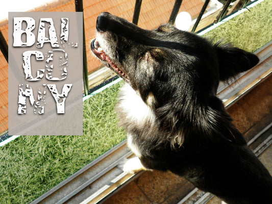 Dog-friendly Balcony and Easy Rail Makeover